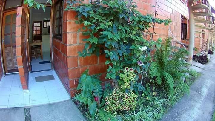 Ferienwohnung Apt Studio Maranduba Ville 1 Ubatuba Exterior foto